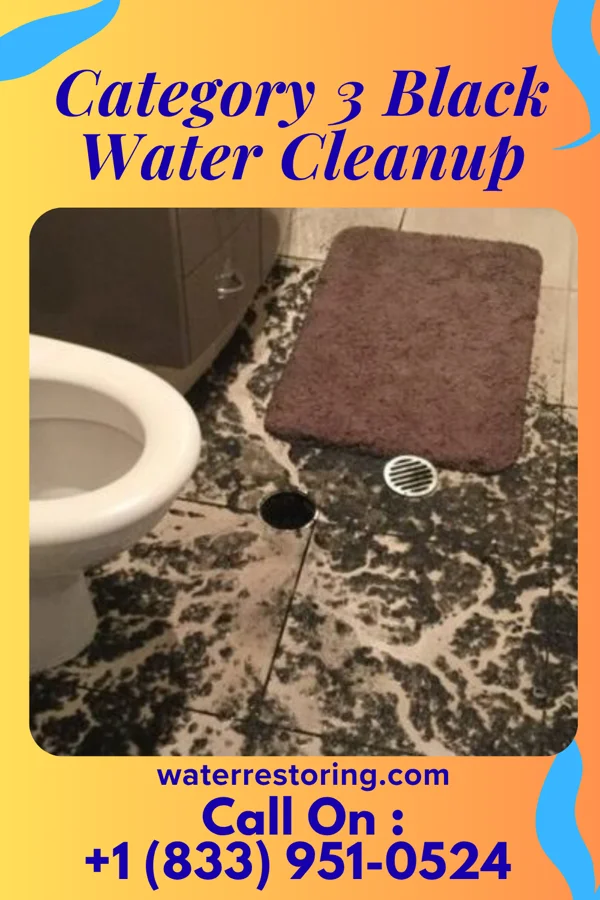 Category 3 Black Water Cleanup in Brookville, PA