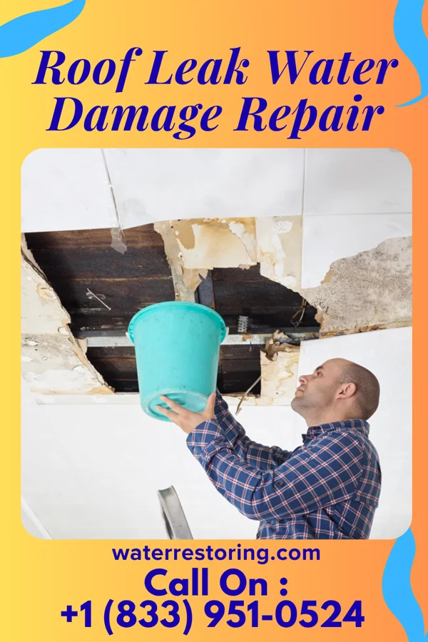 Roof Leak Water Damage Repair in Brookville, PA